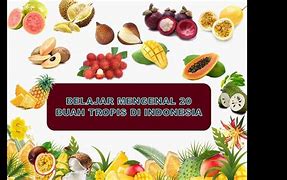 Sebutkan Nama Buah Tropis