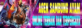 Teratai 888 Slot Link Alternatif